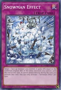 Snowman Effect - Dark Neostorm - YuGiOh card