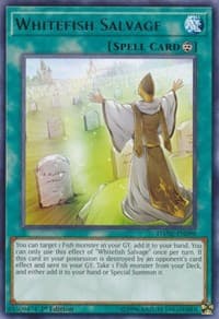 Whitefish Salvage - Dark Neostorm - YuGiOh card