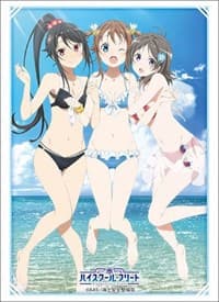 Bushiroad Sleeve Collection HG Vol.1987: High School Fleet - Akeno, Mashiro, & Moeka (60-Pack) - Bushiroad Card Sleeves - Card Sleeves card