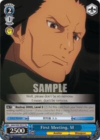 First Meeting, M - SAO Alternative–Gun Gale Online - Weiss Schwarz card