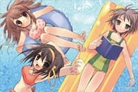 Bushiroad Rubber Mat Collection Vol.324: Kadokawa Sneaker Bunko - The Melancholy of Haruhi Suzumiya - Bushiroad Playmats - Playmats card