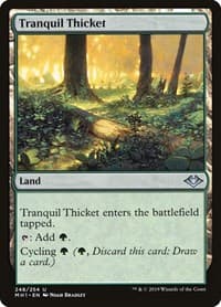 Tranquil Thicket - Modern Horizons - Magic: The Gathering card
