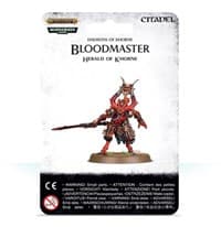 Warhammer: Age of Sigmar - Daemons of Khorne - Bloodmaster: Hearald of Khorne - Warhammer Plastic Clampacks - Warhammer Clampacks card