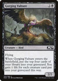 Gorging Vulture - Core Set 2020 - Magic: The Gathering card