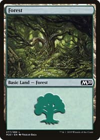 Forest - Core Set 2020 - Magic: The Gathering card