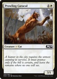 Prowling Caracal - Core Set 2020 - Magic: The Gathering card