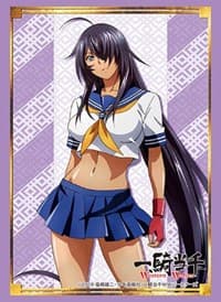 Bushiroad Sleeve Collection HG Vol.2045: Ikki Tousen Western Wolves - Unchou Kanu (60-Pack) - Bushiroad Card Sleeves - Card Sleeves card