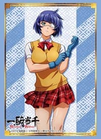 Bushiroad Sleeve Collection HG Vol.2044: Ikki Tousen Western Wolves - Shimei Ryomou (60-Pack) - Bushiroad Card Sleeves - Card Sleeves card