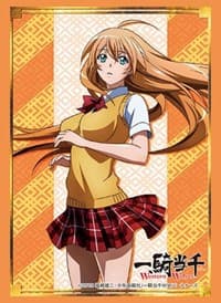 Bushiroad Sleeve Collection HG Vol.2043: Ikki Tousen Western Wolves - Hakufu Sonsaku (60-Pack) - Bushiroad Card Sleeves - Card Sleeves card