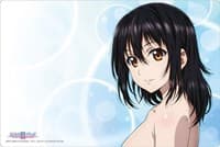 Bushiroad Rubber Mat Collection Vol.341: Strike the Blood III - Yukina Himeragi - Bushiroad Playmats - Playmats card