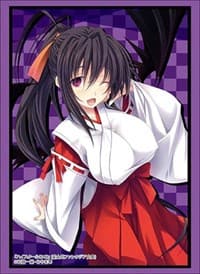 Bushiroad Sleeve Collection HG Vol.2064: Fujimi Fantasia Bunko - High School DxD - Akeno Himejima (60-Pack) - Bushiroad Card Sleeves - Card Sleeves card
