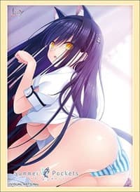 Bushiroad Sleeve Collection HG Vol.2054: Summer Pockets - Kamome Kushima (60-Pack) - Bushiroad Card Sleeves - Card Sleeves card