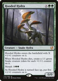 Hooded Hydra - Commander 2019 - Magic: The Gathering card