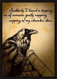 Double Matte Art Sleeve - Raven 2019 (50-Pack) - Legion Premium Supplies Card Sleeves - Card Sleeves card