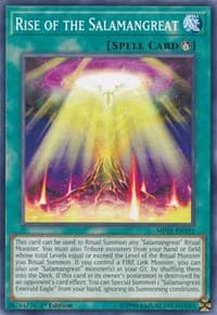 Rise of the Salamangreat - 2019 Gold Sarcophagus Tin Mega Pack - YuGiOh card