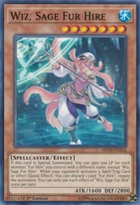 Wiz, Sage Fur Hire - 2019 Gold Sarcophagus Tin Mega Pack - YuGiOh card