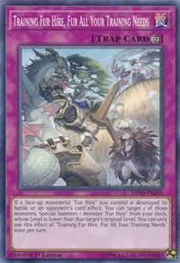 Training Fur Hire, Fur All Your Training Needs - 2019 Gold Sarcophagus Tin Mega Pack - YuGiOh card