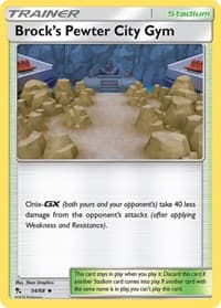 Brock's Pewter City Gym - Hidden Fates - Pokemon card