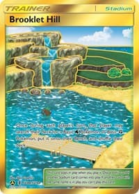 Brooklet Hill - Hidden Fates: Shiny Vault - Pokemon card
