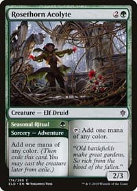 Rosethorn Acolyte - Throne of Eldraine - Magic: The Gathering card