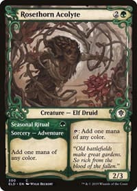 Rosethorn Acolyte (Showcase) - Throne of Eldraine - Magic: The Gathering card