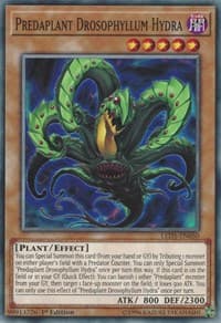 Predaplant Drosophyllum Hydra - Legendary Duelists: Immortal Destiny - YuGiOh card
