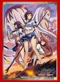 Bushiroad Sleeve Collection HG Vol.2117: Ikki Tousen Western Wolves (60-Pack) - Bushiroad Card Sleeves - Card Sleeves card