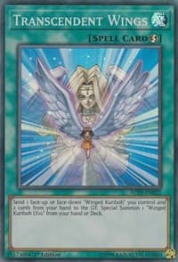 Transcendent Wings - Advent Calendar 2019 - YuGiOh card