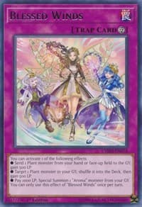 Blessed Winds - Chaos Impact - YuGiOh card