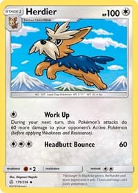 Herdier - SM - Cosmic Eclipse - Pokemon card