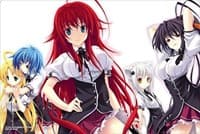 Bushiroad Rubber Mat Collection Vol.433: Fujimi Fantasia Bunko - High School DxD - Bushiroad Playmats - Playmats card