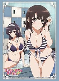 Bushiroad Sleeve Collection HG Vol.2186: Saekano: How to Raise a Boring Girlfriend Flat - Megumi & Utaha (60-Pack) - Bushiroad Card Sleeves - Card Sleeves card