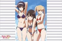 Bushiroad Rubber Mat Collection Vol.446: Saekano: How to Raise a Boring Girlfriend Flat - Megumi, Eriri, & Utaha - Bushiroad Playmats - Playmats card