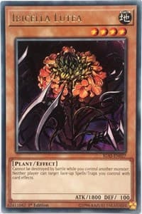 Ibicella Lutea - Ignition Assault - YuGiOh card