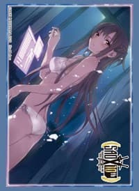 Bushiroad Sleeve Collection HG Vol.2301: Sword Art Online 10th Anniversary - Aincrad Asuna (60-Pack) - Bushiroad Card Sleeves - Card Sleeves card