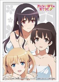 Bushiroad Sleeve Collection HG Vol.2347: Saekano: How to Raise a Boring Girlfriend Flat - Megumi, Eriri & Utaha (60-Pack) - Bushiroad Card Sleeves - Card Sleeves card