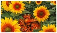 Dragon Shield Playmat (Limited Edition) - Dyrkottr Dragon of Curiosity - Dragon Shield Playmats - Playmats card