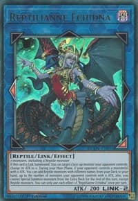 Reptilianne Echidna - Duel Overload - YuGiOh card