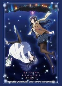 Bushiroad Sleeve Collection HG Vol.2378: Bunny Girl Senpai - Mai & Shoko (60-Pack) - Bushiroad Card Sleeves - Card Sleeves card