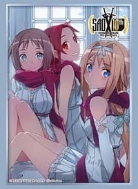 Bushiroad Sleeve Collection HG Vol.2367: Sword Art Online 10th Anniversary - Fuyu no Seiiki (60-Pack) - Bushiroad Card Sleeves - Card Sleeves card