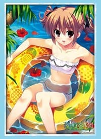 Bushiroad Sleeve Collection HG Vol.2360: The Fruit of Grisaia - Makina Irisu (60-Pack) - Bushiroad Card Sleeves - Card Sleeves card