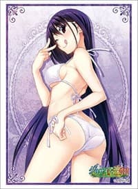 Bushiroad Sleeve Collection HG Vol.2357: The Fruit of Grisaia - Yumiko Sakaki (60-Pack) - Bushiroad Card Sleeves - Card Sleeves card