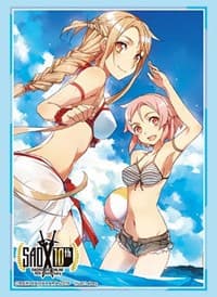 Bushiroad Sleeve Collection HG Vol.2362: Sword Art Online 10th Anniversary - Soda Colored Panorama (60-Pack) - Bushiroad Card Sleeves - Card Sleeves card