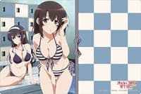 Bushiroad Rubber Mat Collection Vol.571: Saekano: How to Raise a Boring Girlfriend Flat - Megumi & Utaha - Bushiroad Playmats - Playmats card