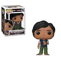 The Big Bang Theory: Raj Koothrappali - Pop! Vinyl - Funko card