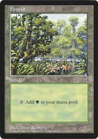 Forest (Arena League) - Oversize Cards - Magic: The Gathering card