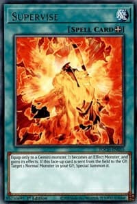 Supervise - Toon Chaos - YuGiOh card