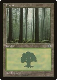 Forest (Ferns on Ground) - Portal - Magic: The Gathering card