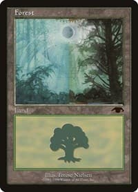Forest - Guru - Guru Lands - Magic: The Gathering card