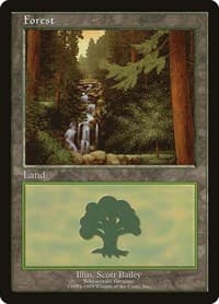 Forest - Schwarzwald - European Lands - Magic: The Gathering card
